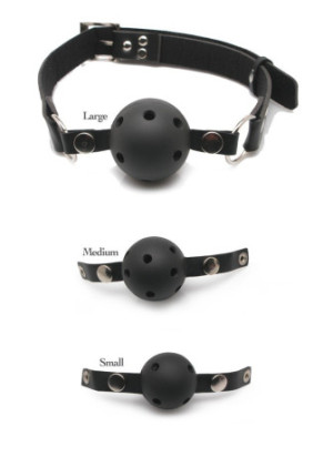 Ball Gag Training System